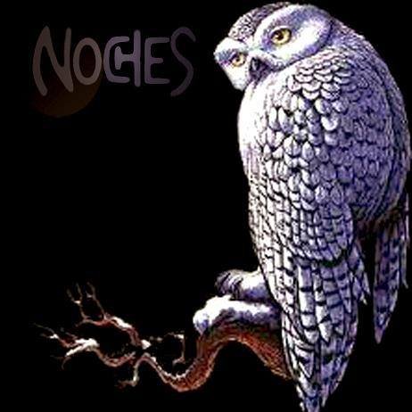 NOCHES DE ROCK