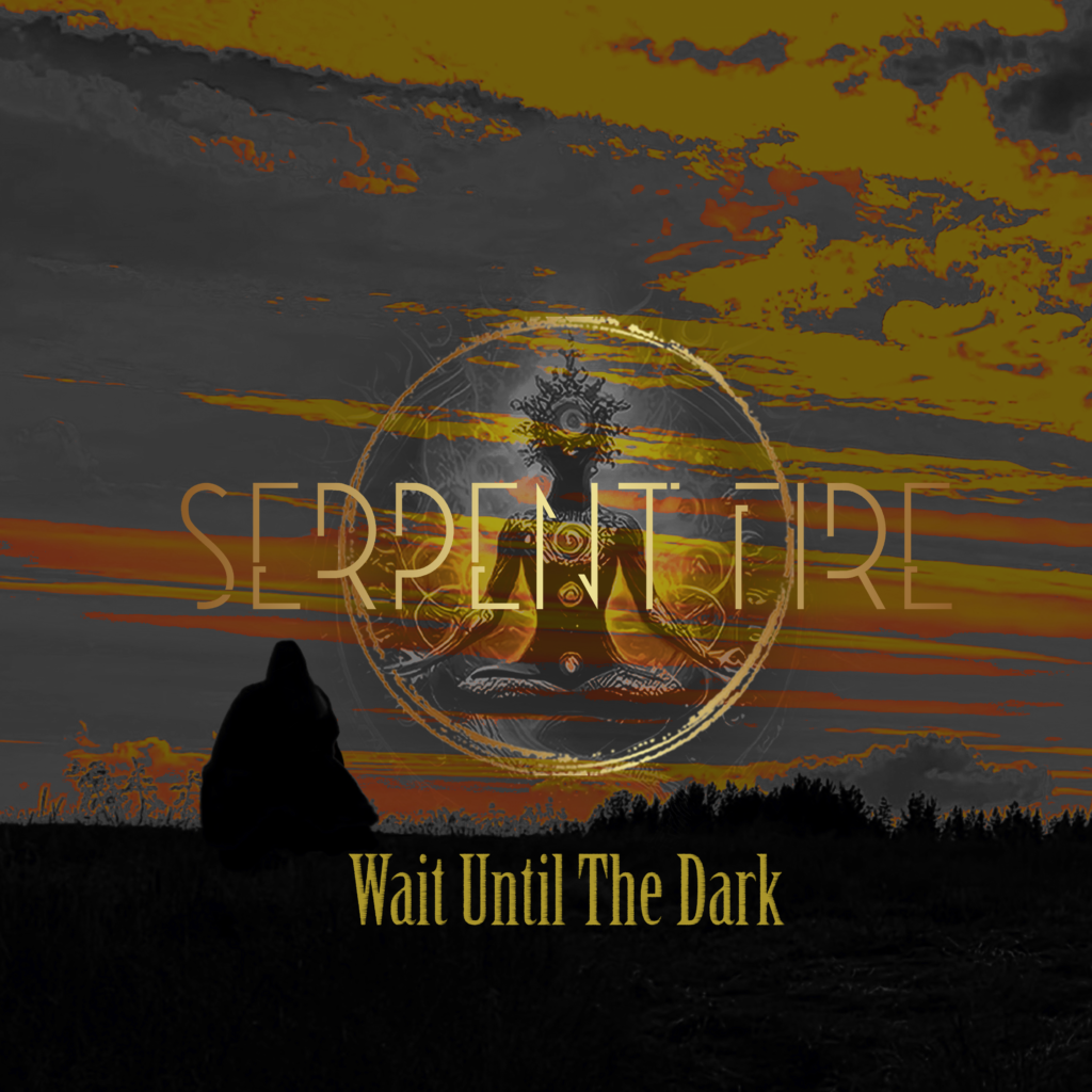 Wait Until the Dark 
