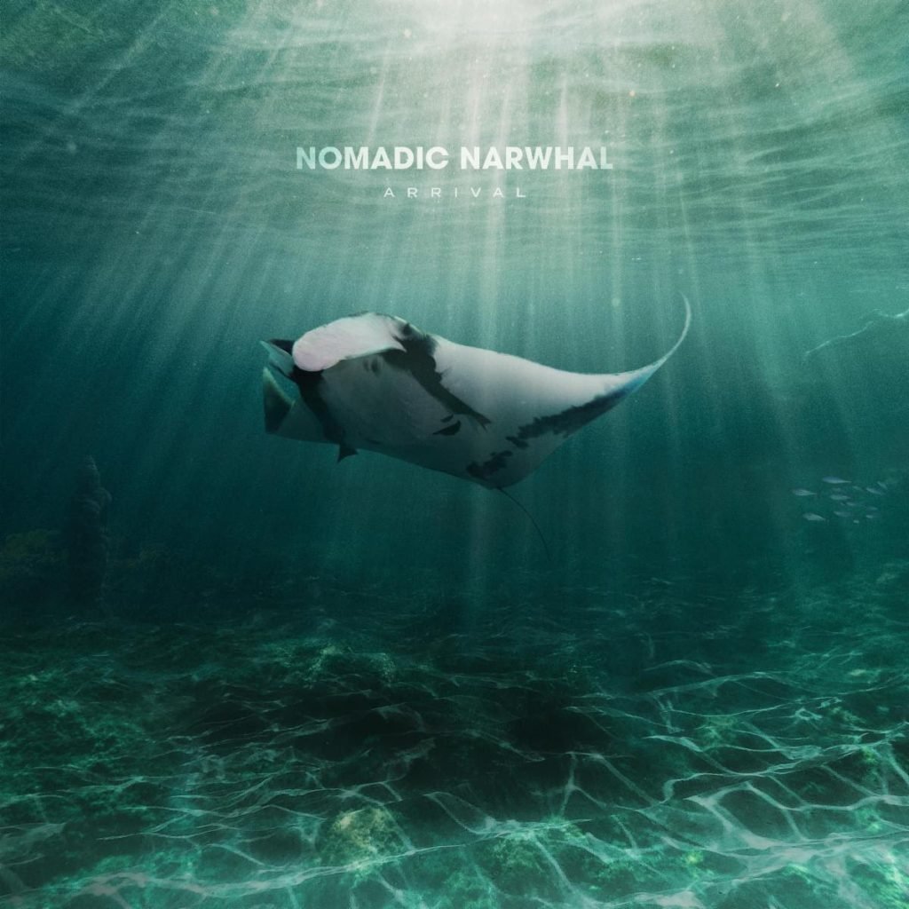 NOMADIC NARWHAL